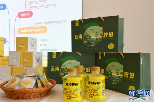 永胜小柠檬 技术推广凝聚乡村振兴大力量